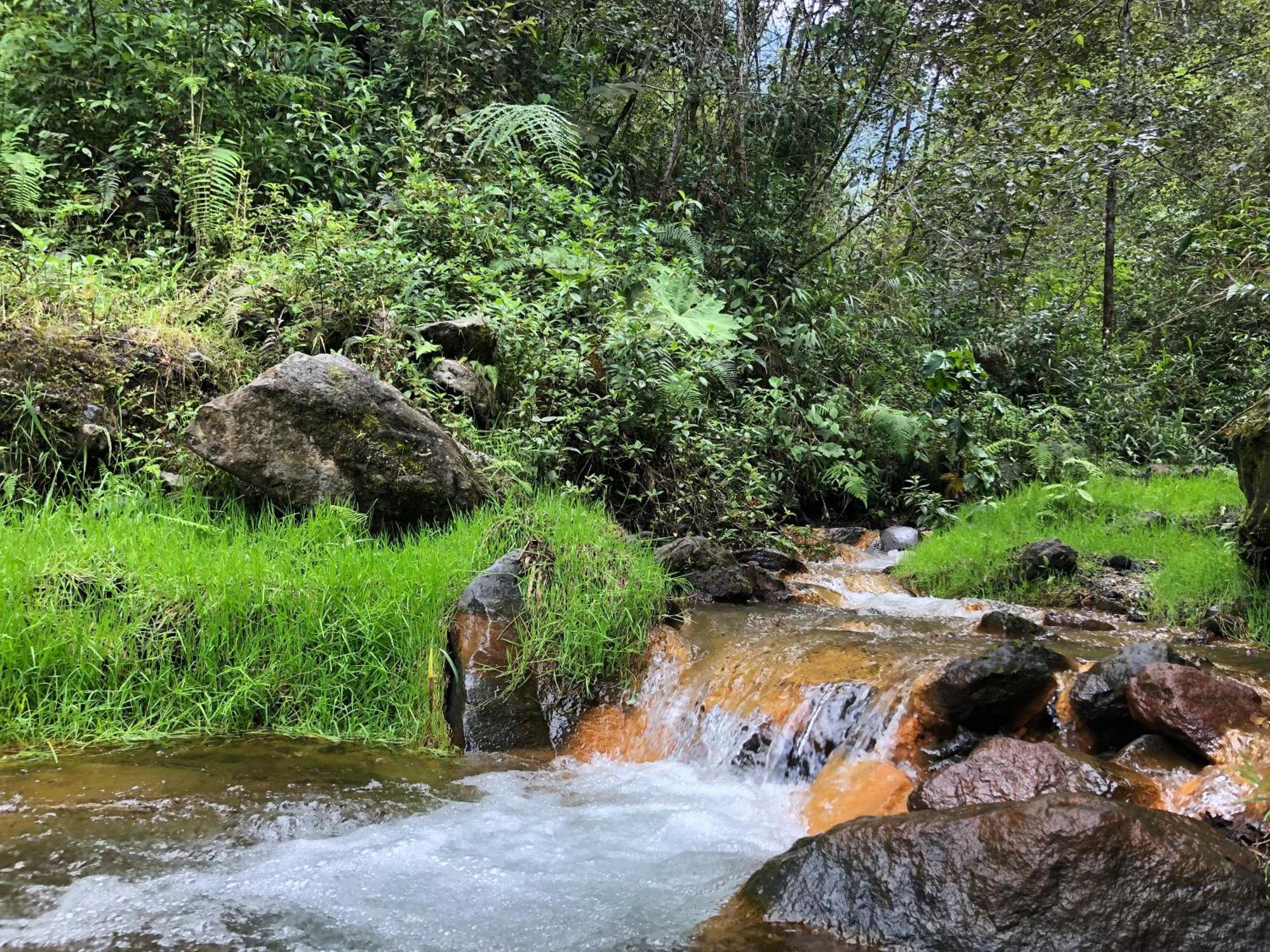 High-End Holiday Cabin - Tungurahua Hot Springs Baños Eksteriør bilde